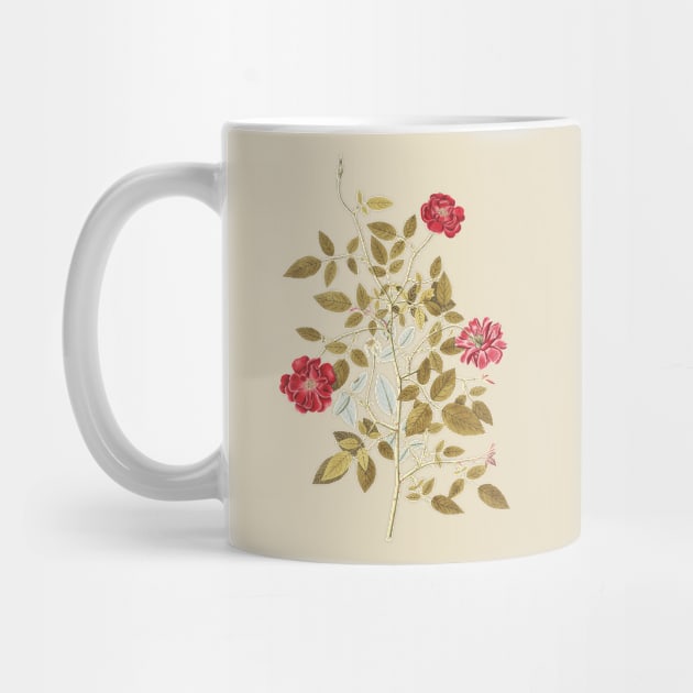 Wild Rose Flowers by Biophilia